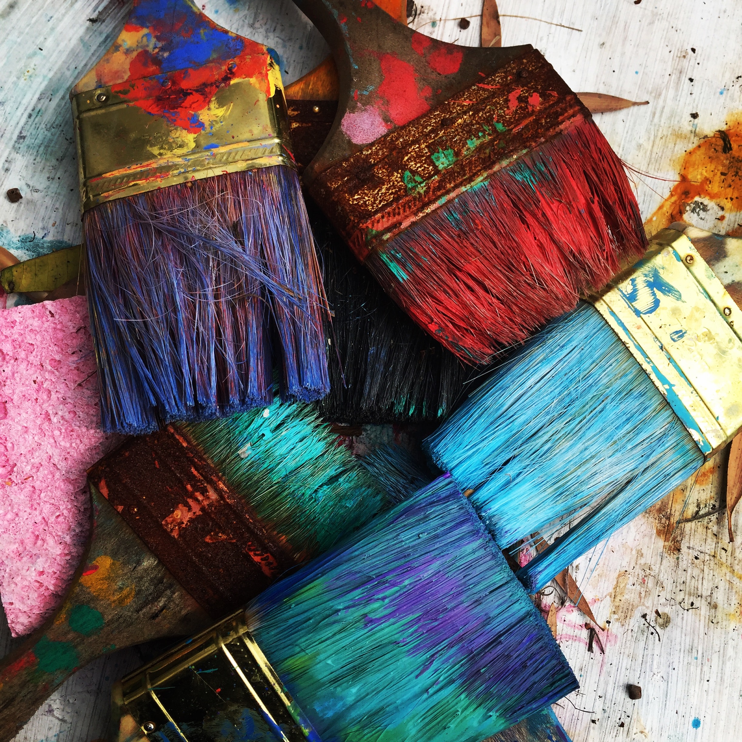 A Brush with Excellence: Choosing Paint Brushes for House Painting in Western Australia